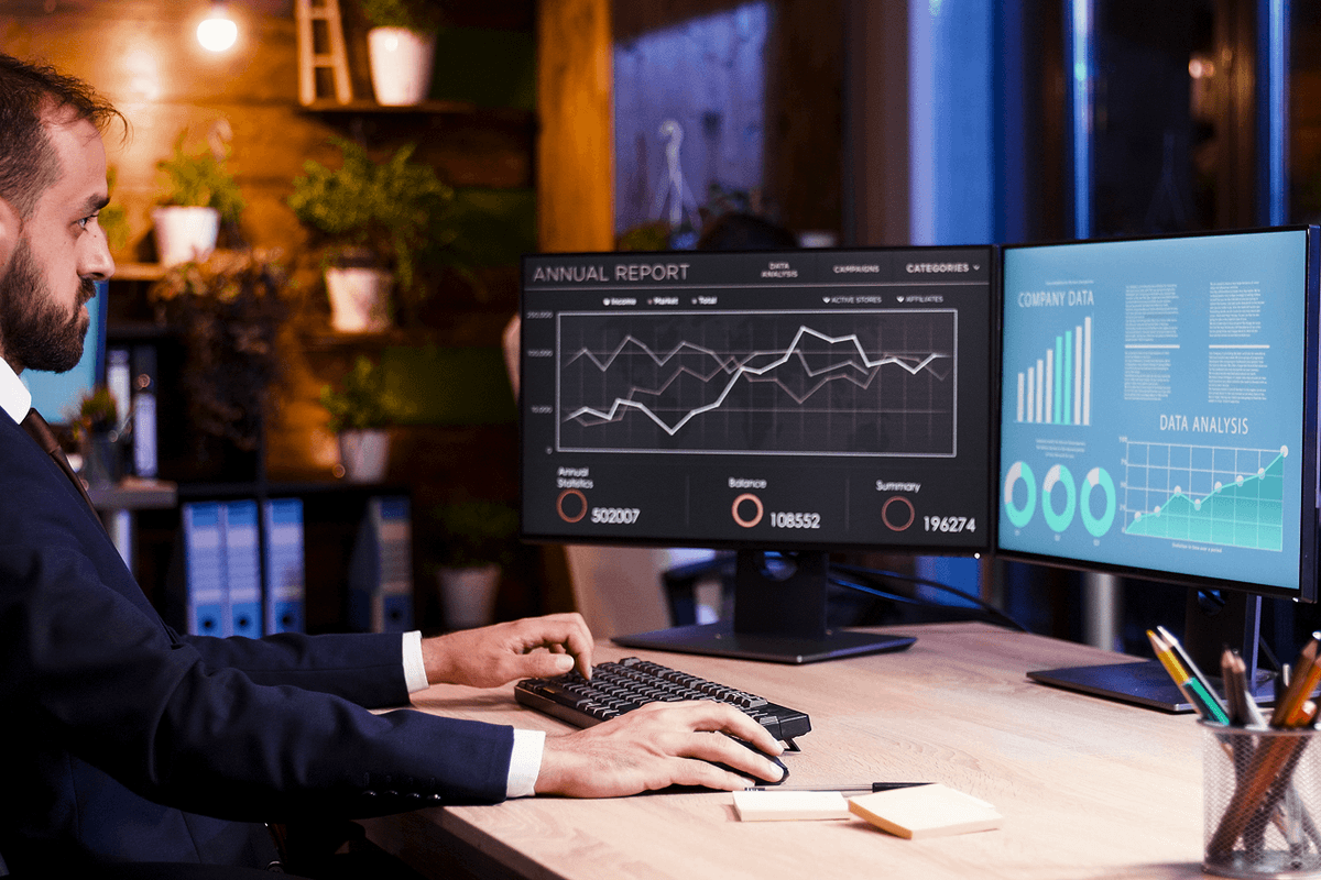 Custom Reporting and Analytics Platform